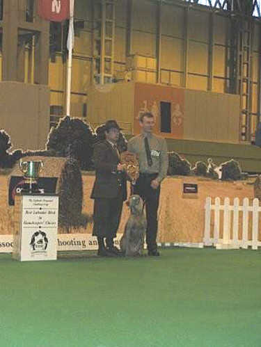 Anthony  & Arwen at Crufts 2009 Presentation1