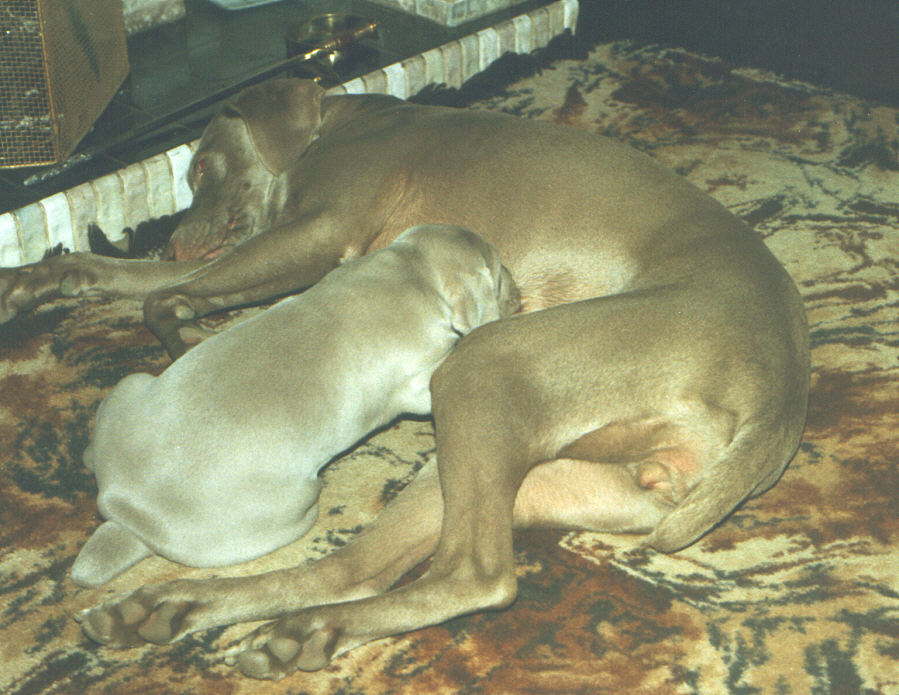 April & Solo Feeding before the Fire1 April & Solo Feeding before the Fire1