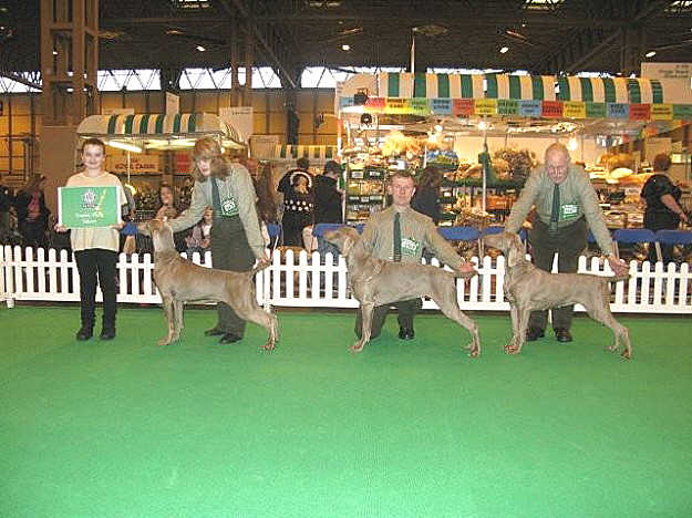 Beaters Team in the ring Crufts 2010