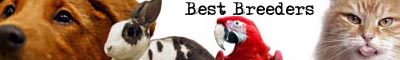 Best Breeders Banner