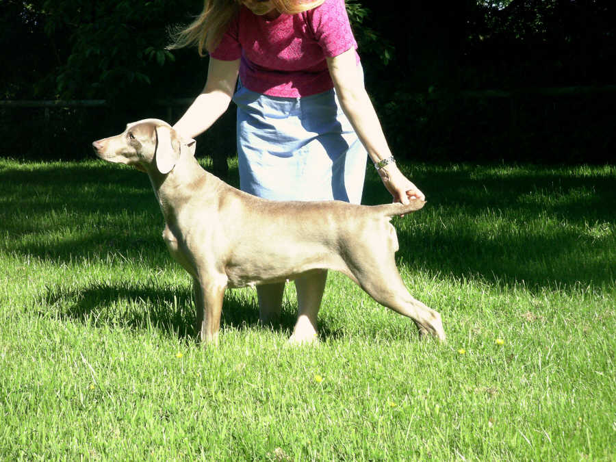 Connie Standing 3 June 2008