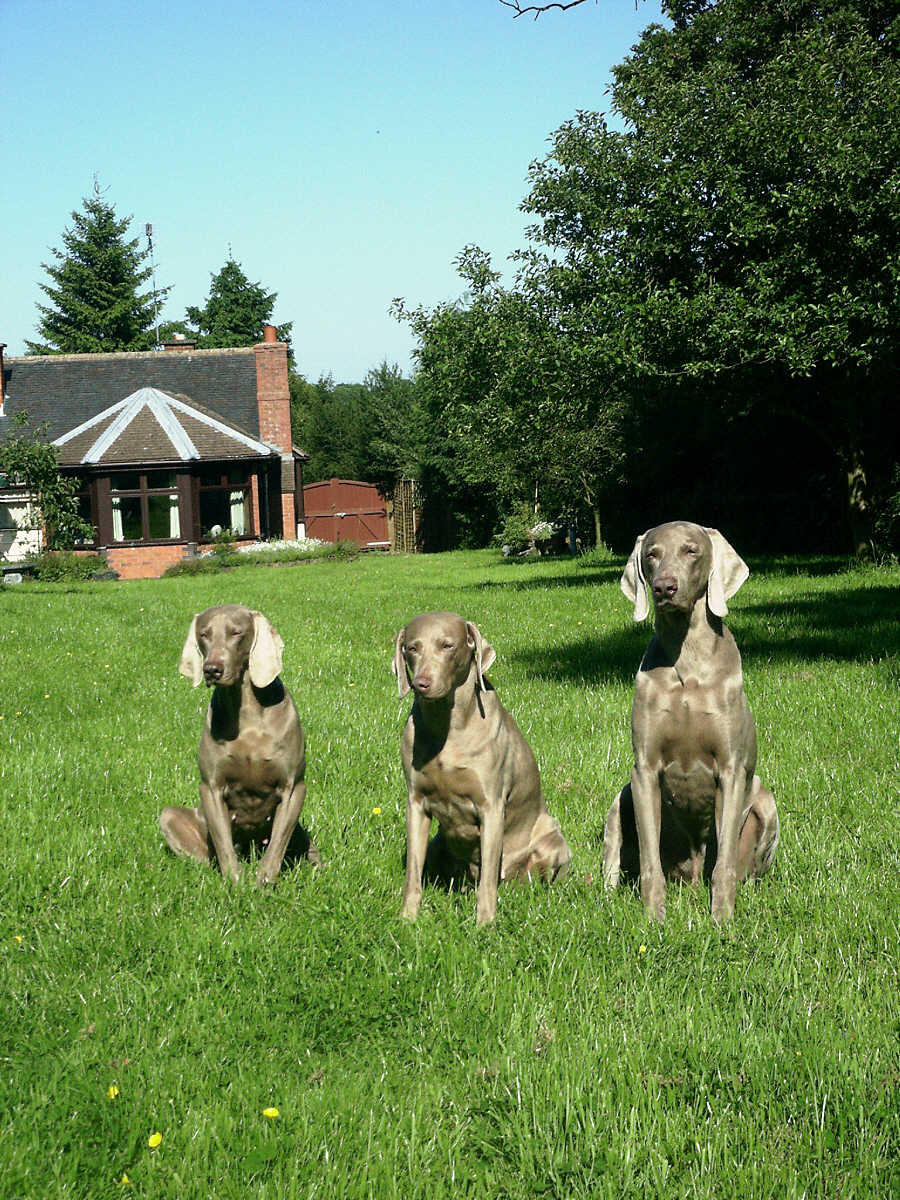 Davey,Connie & Angie June 2008