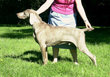 Davey Standing June 2008