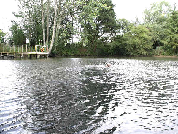 Esme water retrieve July 24th 201102 Esme water retrieve July 24th 201102