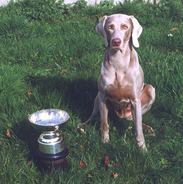 Gypsy with Brood Bitch trophy