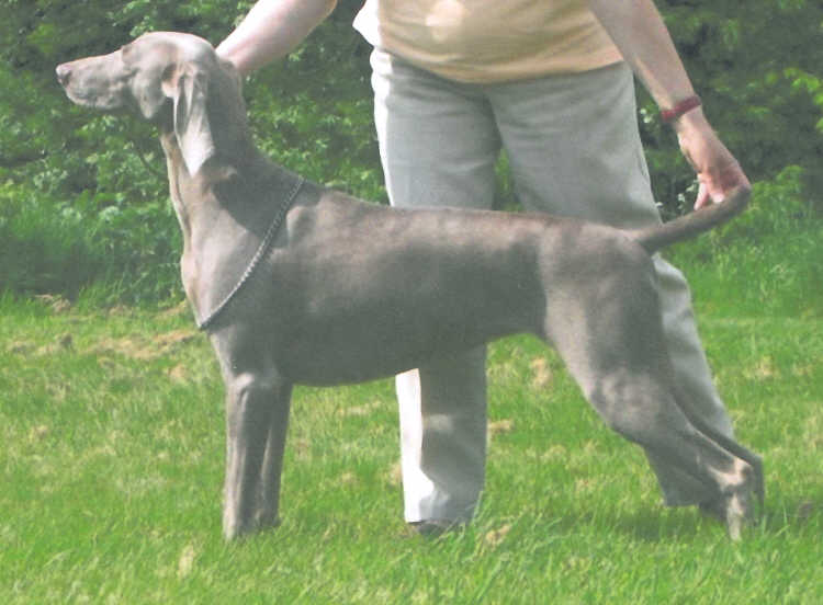 Meesha Standing up the Field