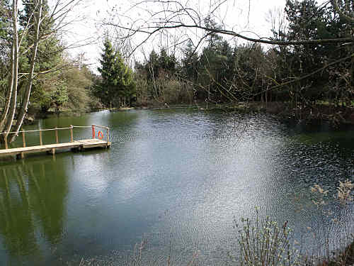 Pond April 3 2010