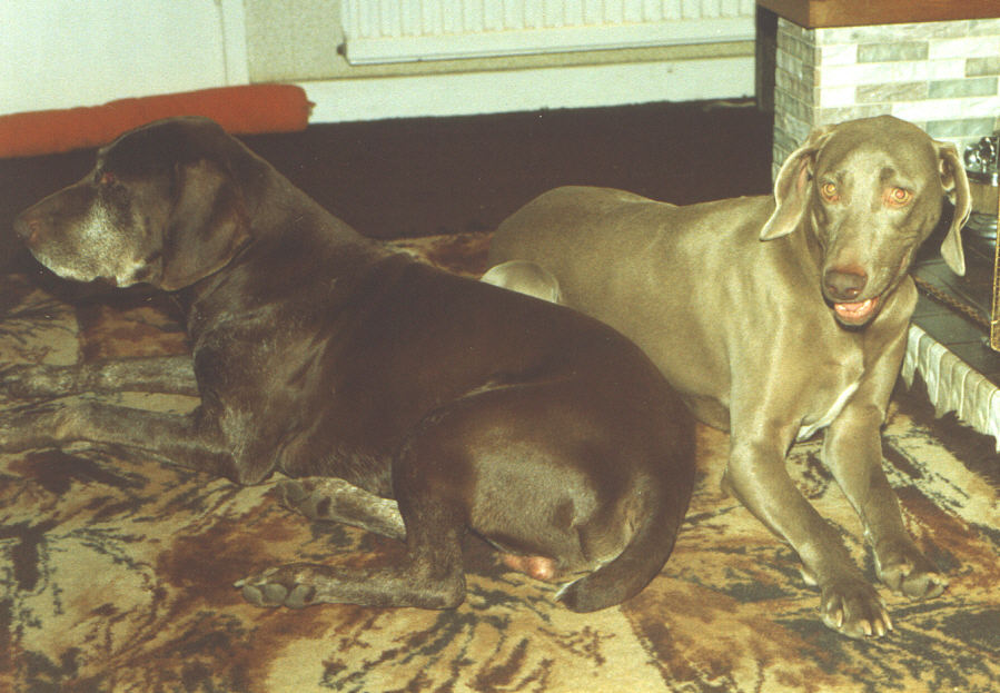 Ruke & April in front of fire