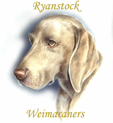 Ryan Head Logo square