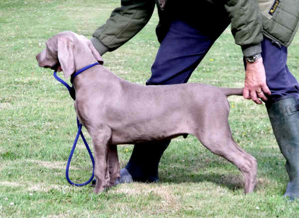 Stig Standing 14 weeks02