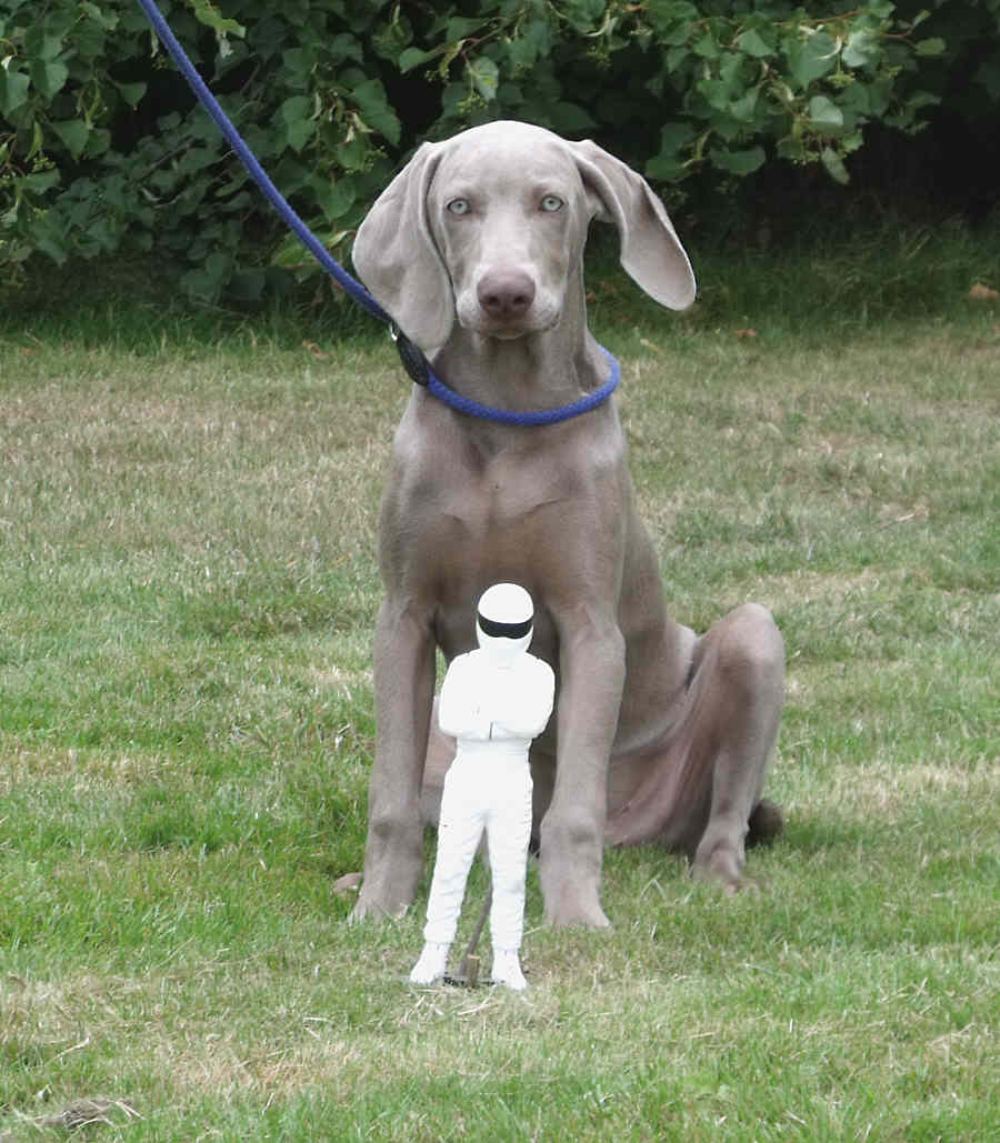 The Stig with his Friend