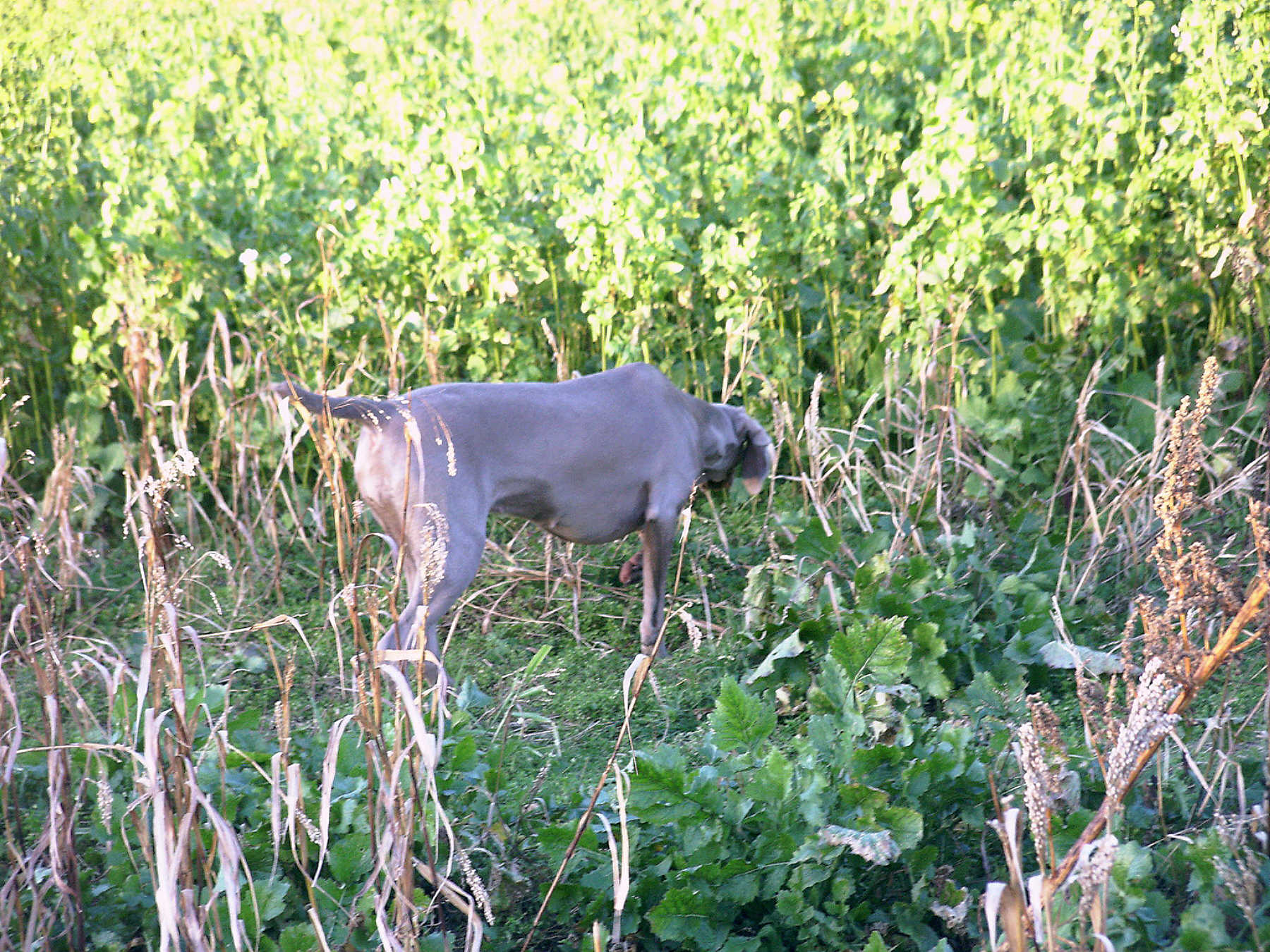 Tooley Park 3 Photo 25th Nov 08 Tooley Park 3 Photo 25th Nov 08