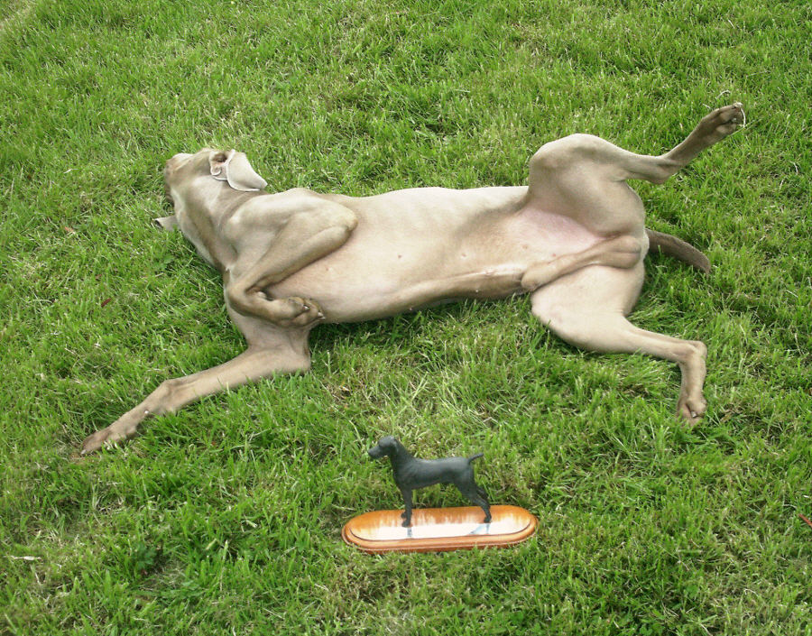 Zeb upside down with his trophy