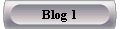 Blog 1