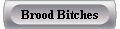 Brood Bitches