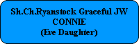 Sh.Ch.Ryanstock Graceful JW
CONNIE
(Eve Daughter)