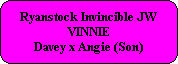 Ryanstock Invincible JW
VINNIE
Davey x Angie (Son)