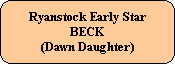 Ryanstock Early Star
BECK
(Dawn Daughter)