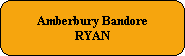 Amberbury Bandore
RYAN