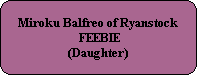 Miroku Balfreo of Ryanstock
 FEEBIE
(Daughter)