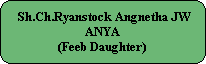 Sh.Ch.Ryanstock Angnetha JW
ANYA
(Feeb Daughter)