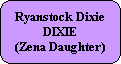 Ryanstock Dixie
DIXIE
(Zena Daughter)